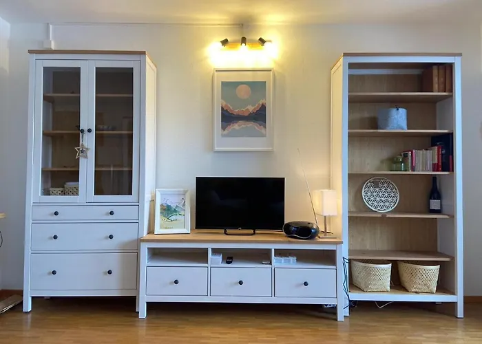 Rose Des Alpes 公寓 莱森