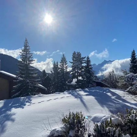 Appartement Rose Des Alpes Leysin